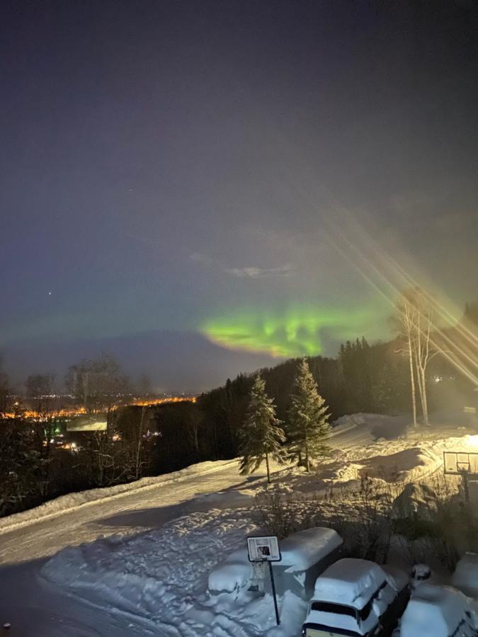 Alaskan Adventure Awaits! Eagle River Exteriör bild